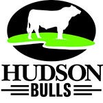 Custom Web Design Client - Hudson Bulls