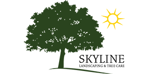 Skyline Logo